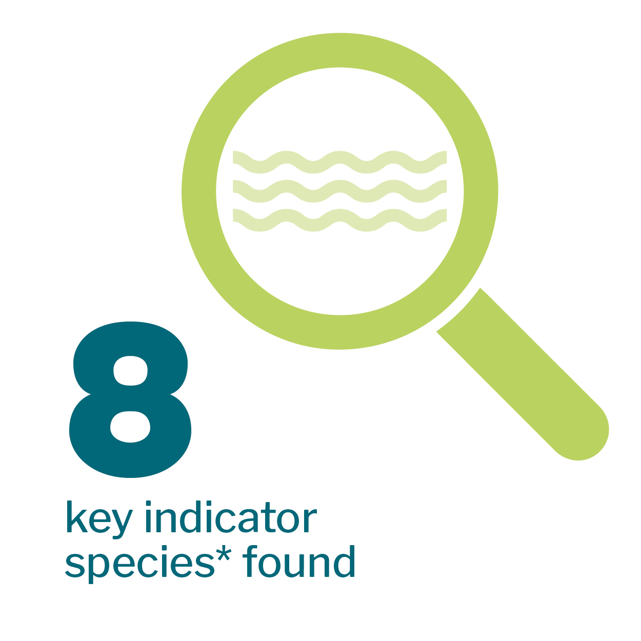 Infographic of a magnifying glass and a river with the words '8 indicator species found