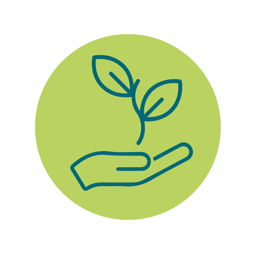 Logo of a palm holding a plant with the word 'nature' underneath