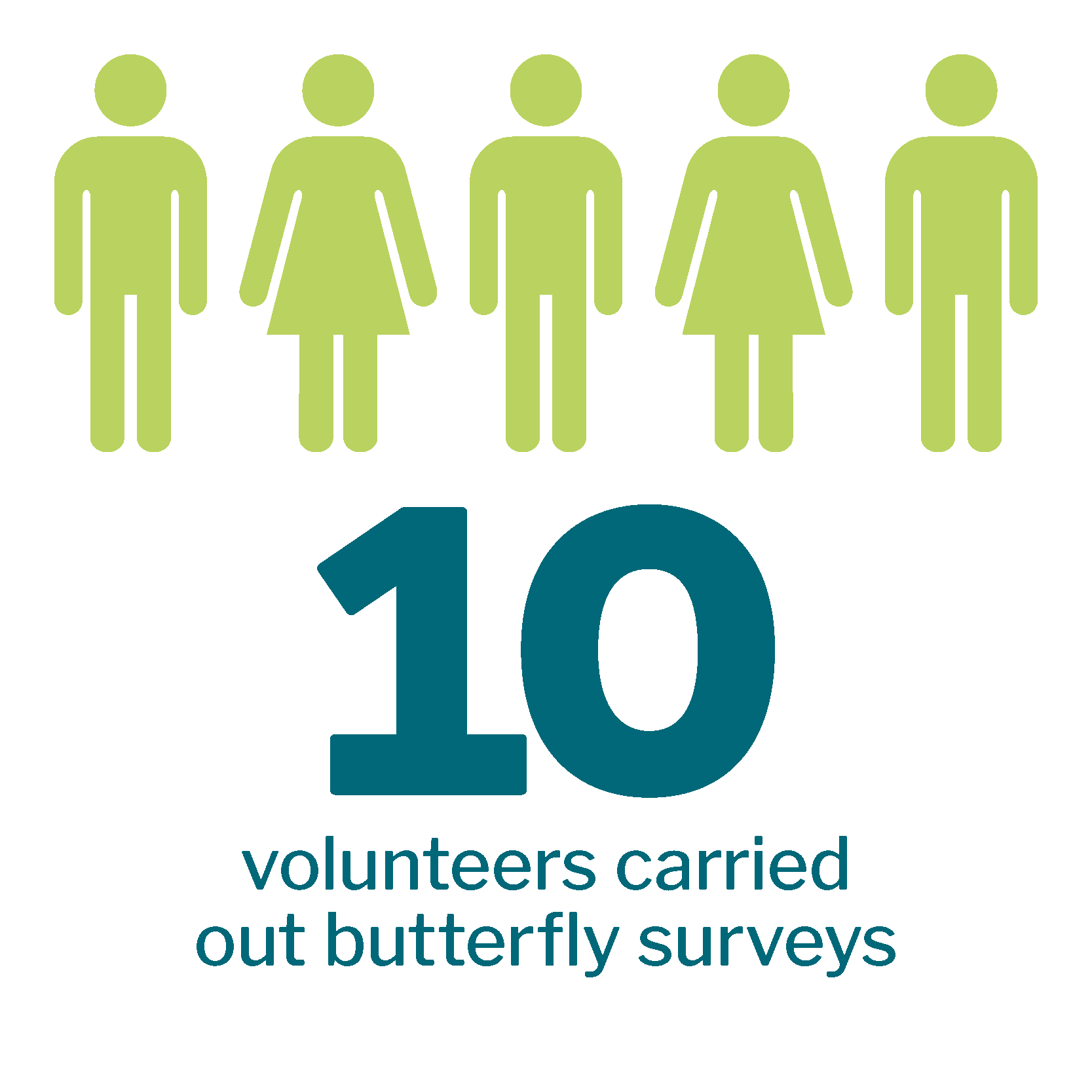 10 volunteers carried out butterfly surveys