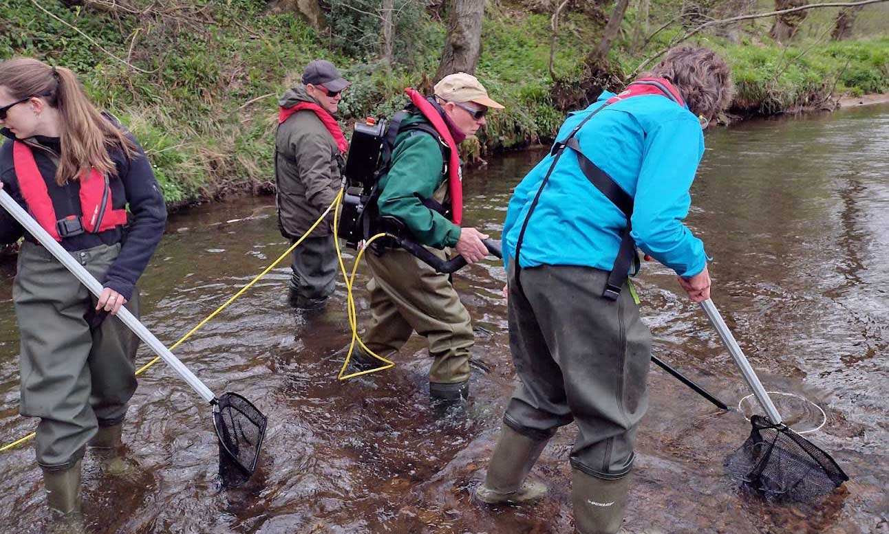 People carrying our electro-fishing survey.