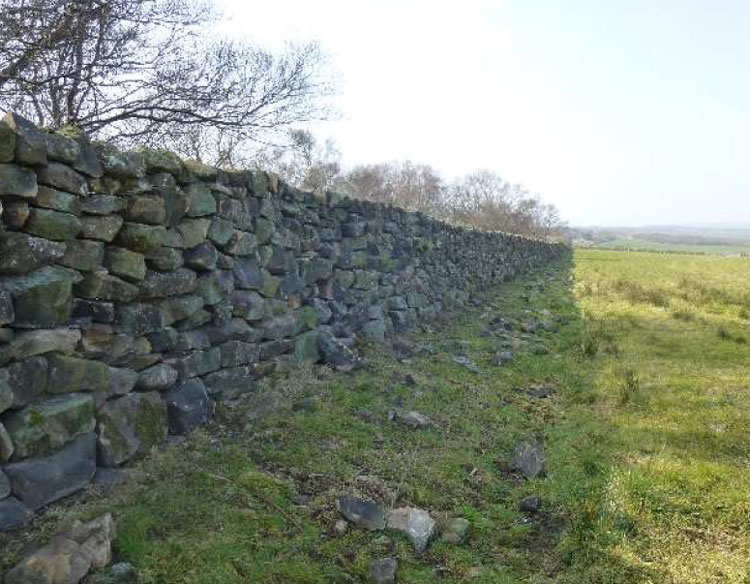 Repaired dry stone wall. Repaired dry stone wall.