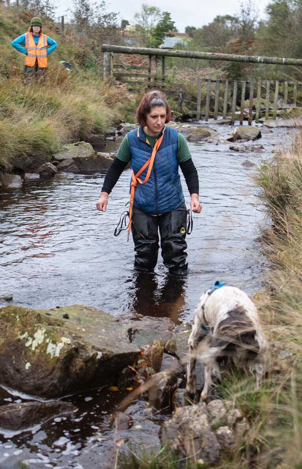 Rachel Cripps (conservation detection dog handler) and Reid (English Springer Spaniel and water vole detection dog). Credit Charlie Fox. Rachel Cripps (conservation detection dog handler) and Reid (English Springer Spaniel and water vole detection dog). Credit Charlie Fox.
