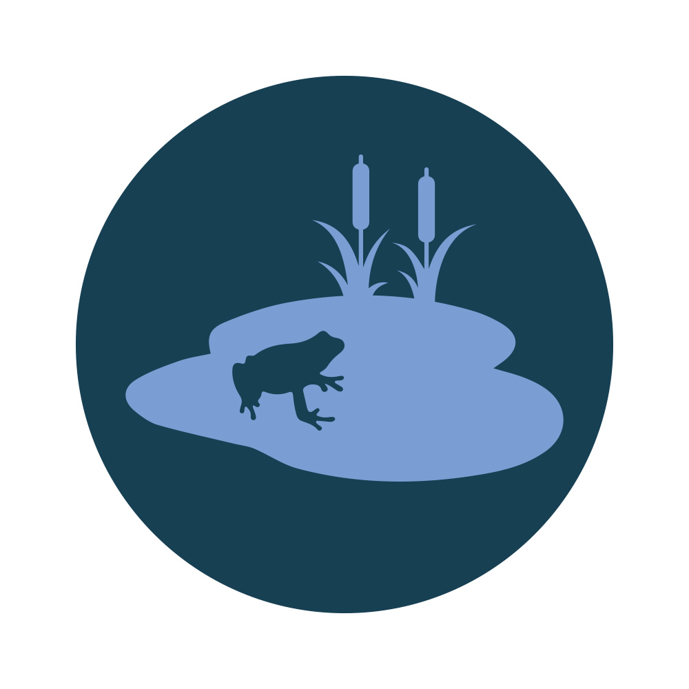 Frog in pond infographic