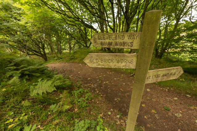 Fingerpost alongside a path among a woodland. Credit James Hines.