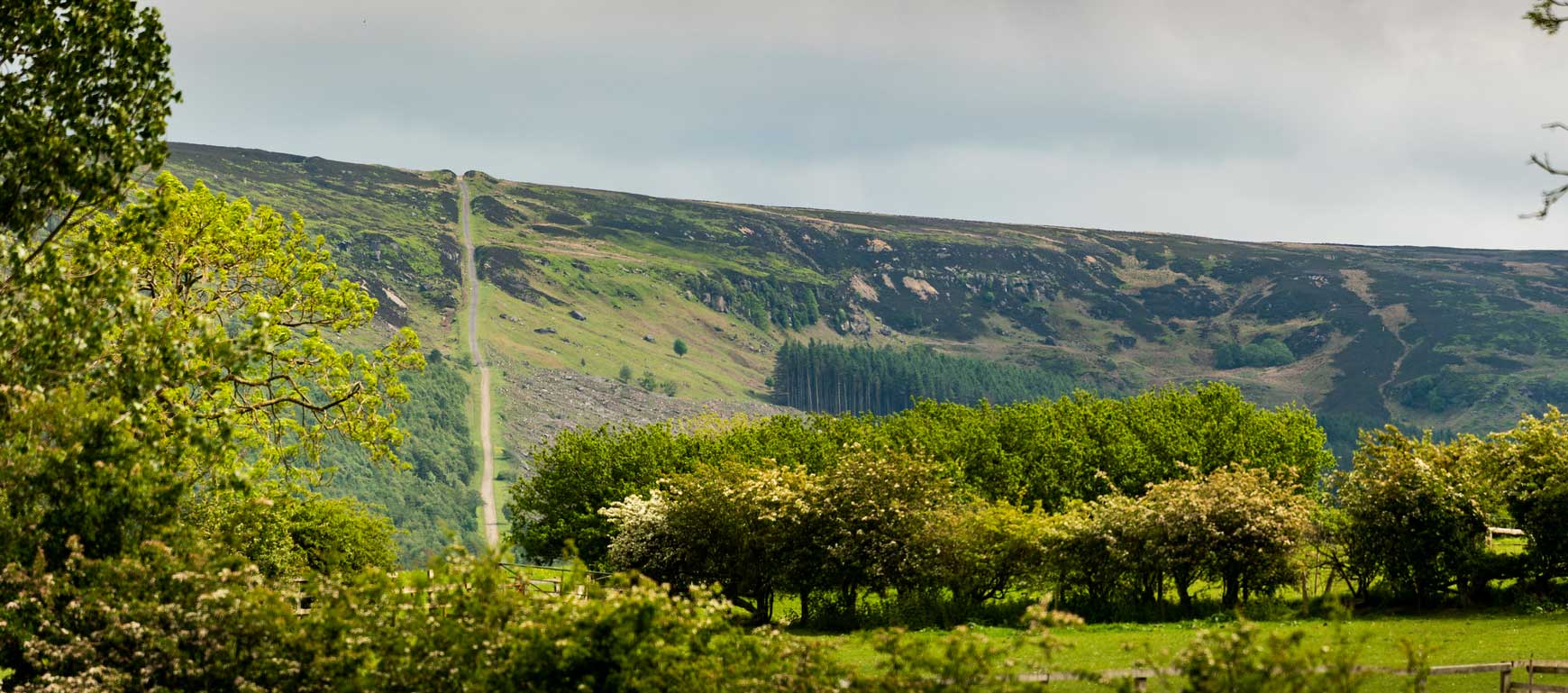 Photo showing the route of an old railway line heading up a steep incline. Photo showing the route of an old railway line heading up a steep incline.