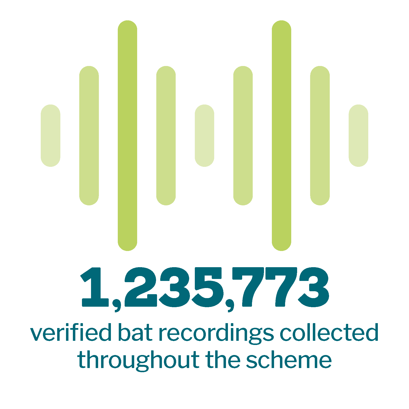 1235773 verified bat recordings collected throughout the scheme