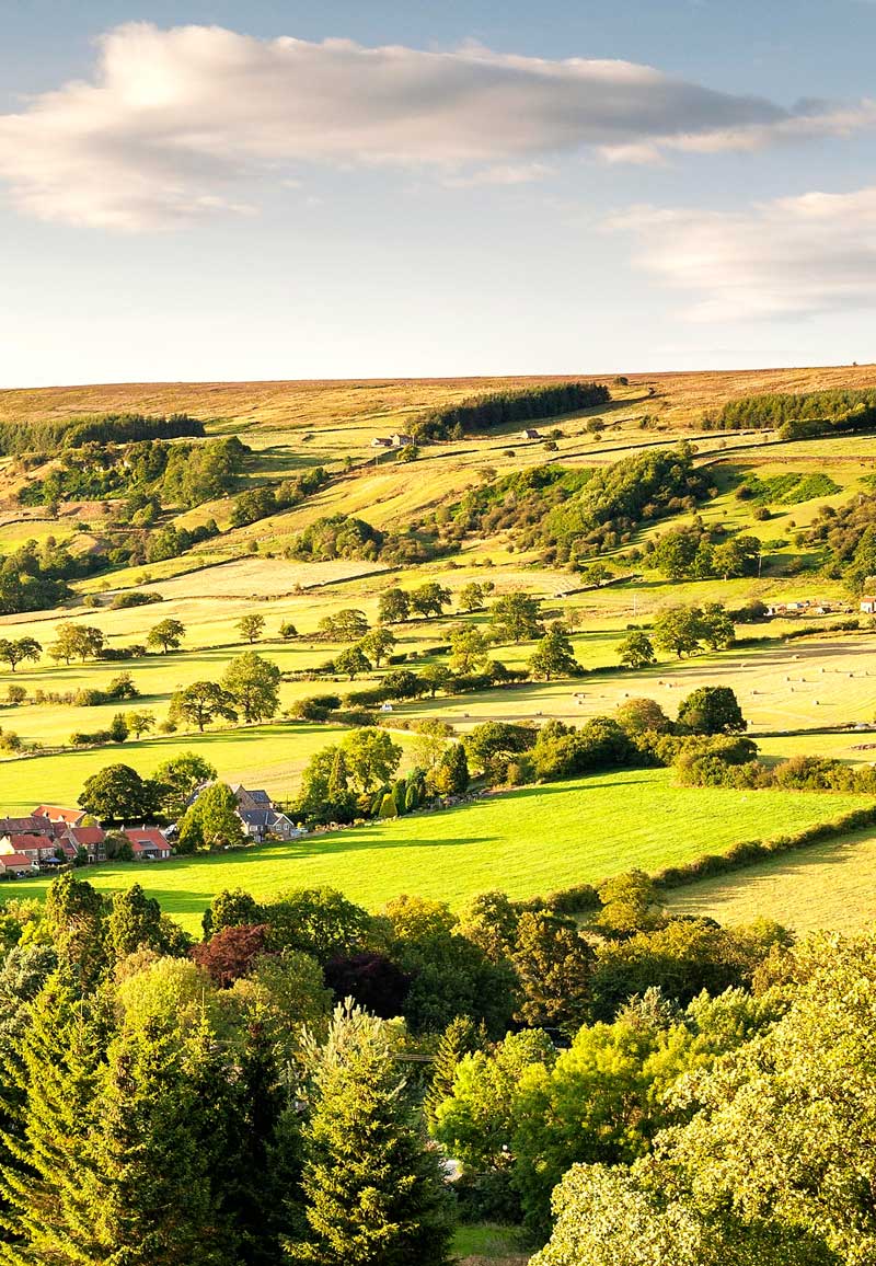 Farmed landscape with hedgerows separating the fields. Credit RJB Photographic. www.rjbphotographic.co.uk Farmed landscape with hedgerows separating the fields. Credit RJB Photographic. www.rjbphotographic.co.uk
