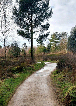 Sutton Bank arts trail