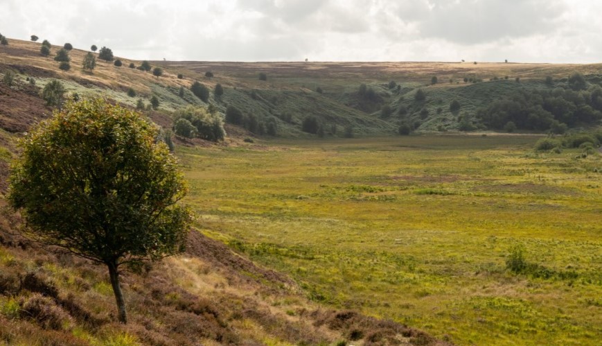 View of Fen Bog - Credit James Hines