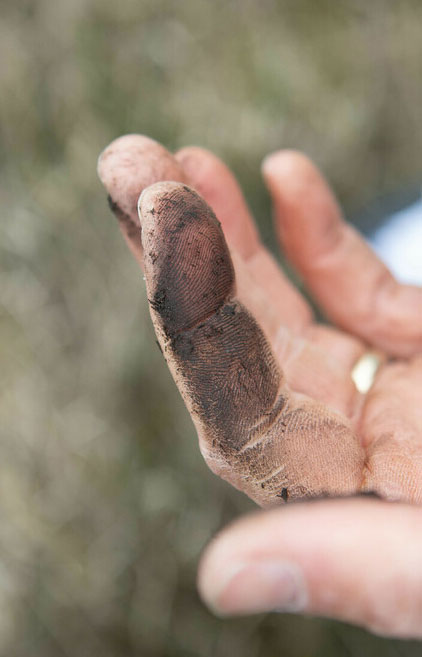 Close up photo of a finger with peat on. Credit Charlie Fox