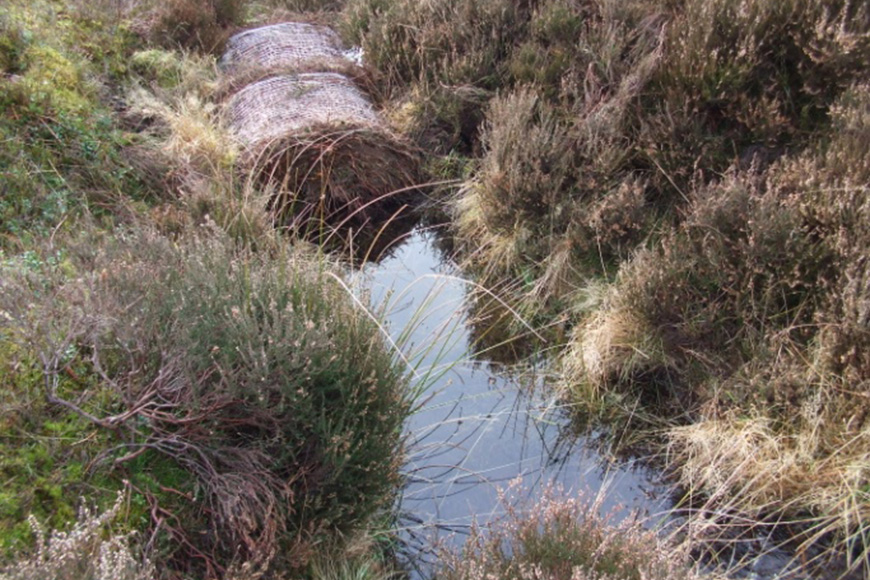 Slowing the Flow - moorland gully blocking Credit NYMNPA Slowing the Flow - moorland gully blocking Credit NYMNPA