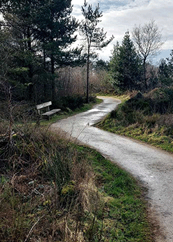 Sutton Bank arts trail