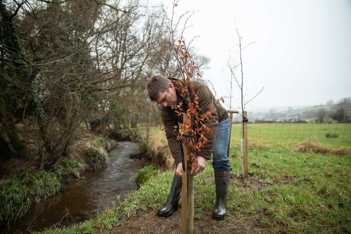 Michael Knight tree planting to help create a river buffer. Credit Charlie Fox. Michael Knight tree planting to help create a river buffer. Credit Charlie Fox.