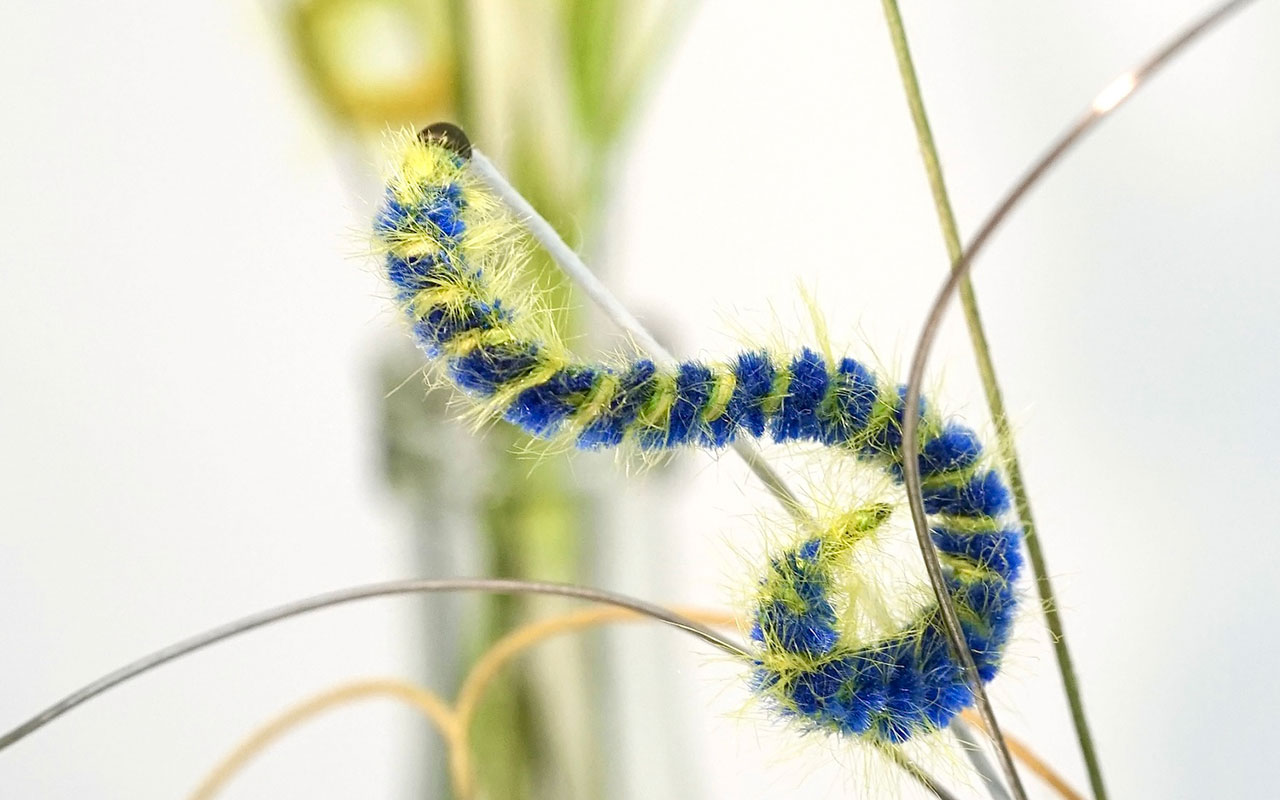 A feather and velvet caterpillar by Bridget Bailey