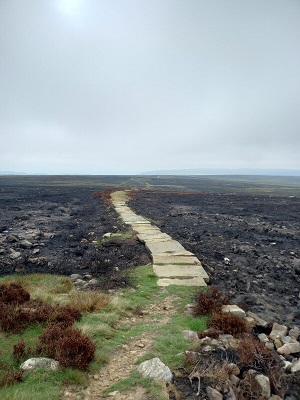 A stone pathway can be seen running through a charred black landscape