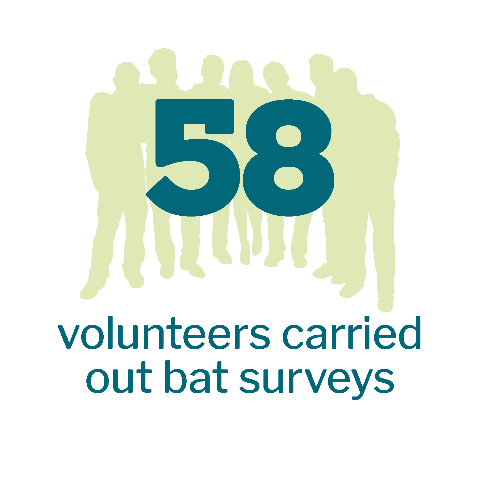 58 volunteers carried out bat surveys