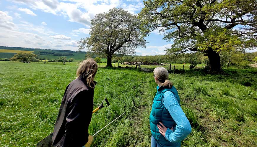People stood looking out over grassy field
