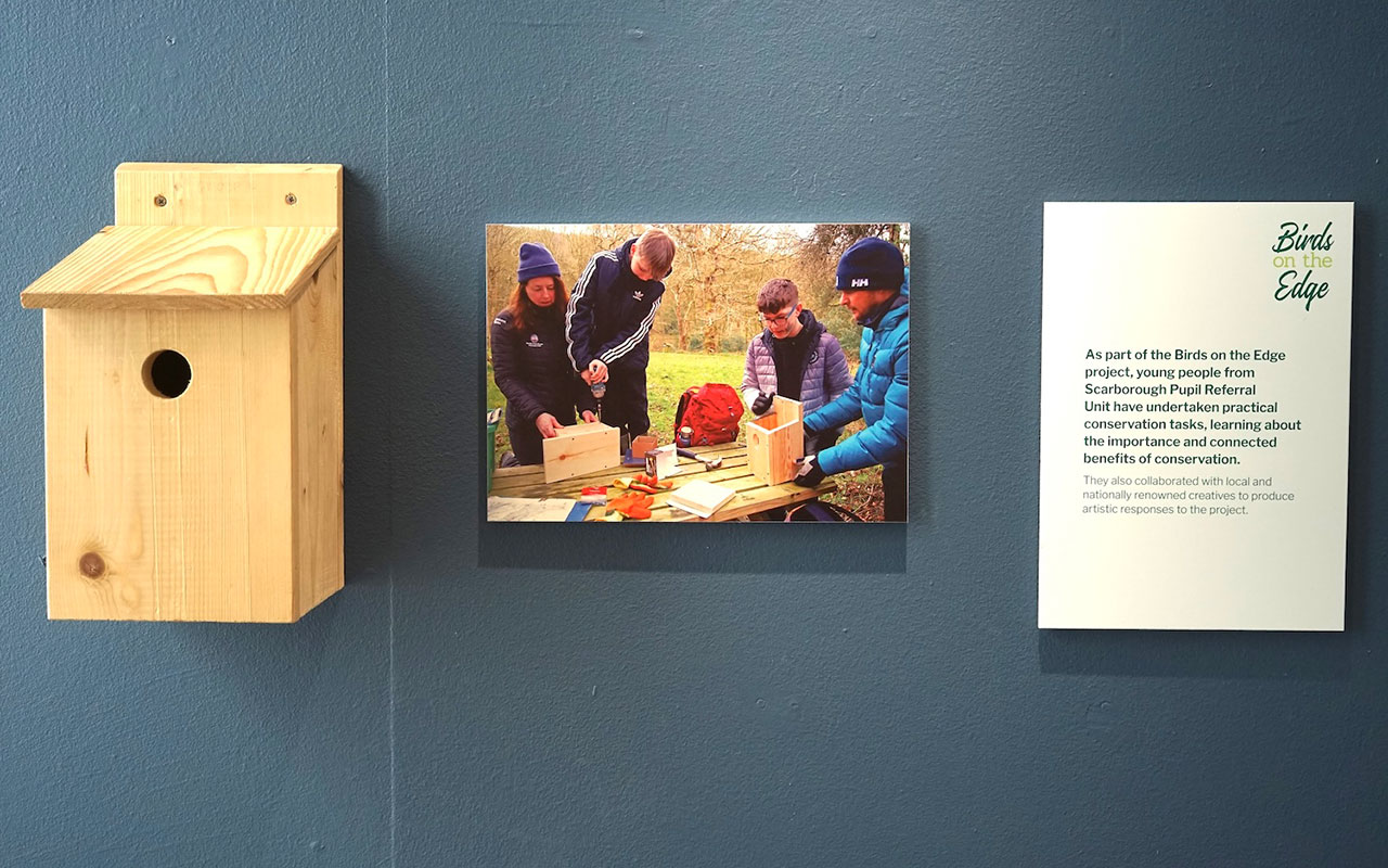 Young people in conservation at the Inspired by gallery