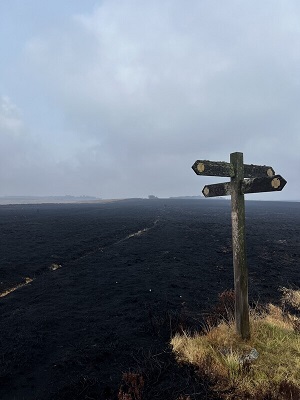 Rights of Way signpost stands on charred black landscape