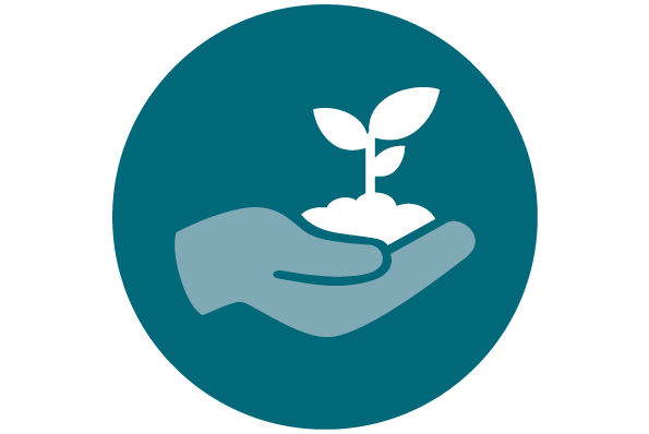 Icon showing a hand holding a seedling in soil