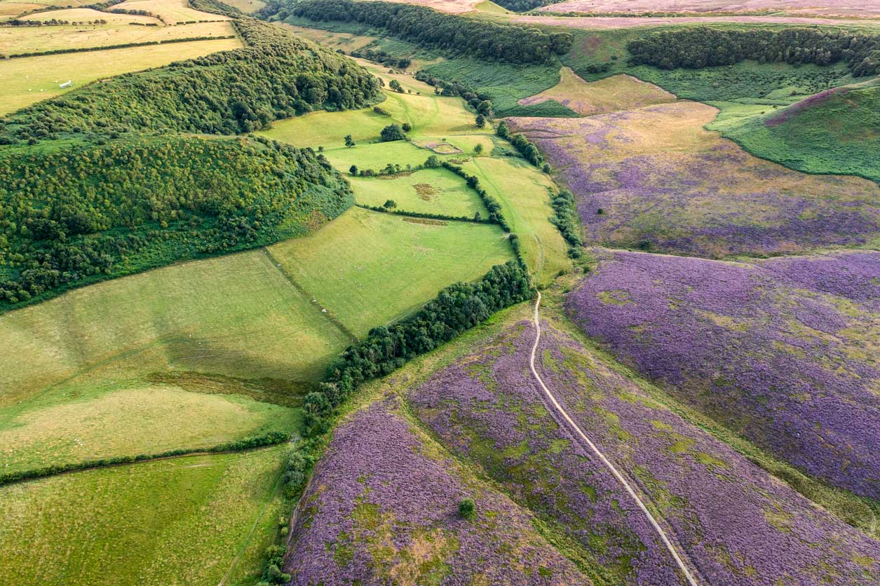 Drone photo looking down onto the Hole of Horcum - a vast natural ampitheatre with moorland, woodland, farmland and grassland. Credit Paul Kent.