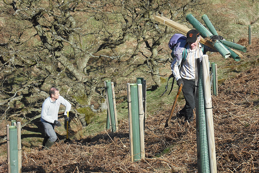 David Smith tree planting on Levisham Estate David Smith tree planting on Levisham Estate