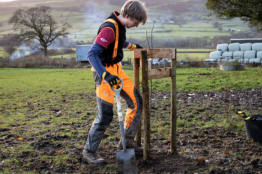 Tree Planting by Valerie Mather