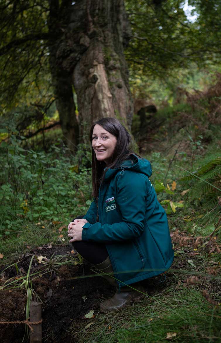 Female inspecting recent conservation efforts to slow the flow of water down a woodland slope. Credit Charlie Fox. Female inspecting recent conservation efforts to slow the flow of water down a woodland slope. Credit Charlie Fox.