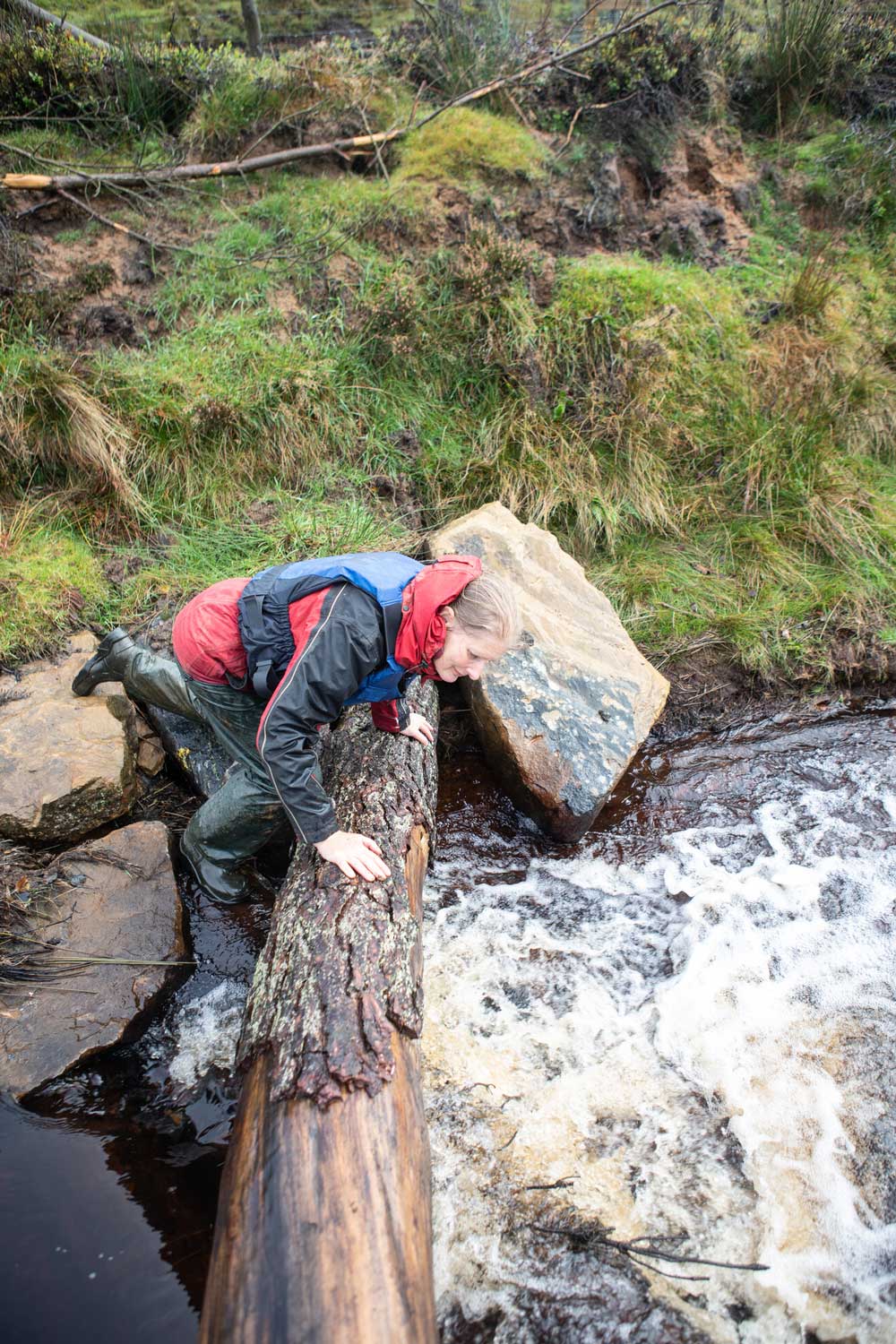 Large woody material, such as logs, in a river. A female is inspecting them and leaning on one of the logs. Credit Charlie Fox.
