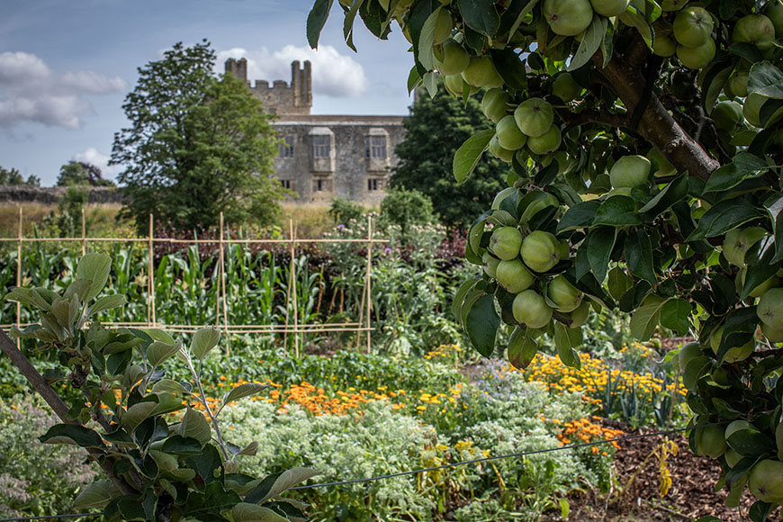 Garden and Helmsley Castle in the background by Polly Baldwin
