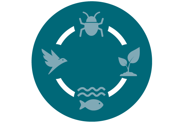 Icon representing different species in a life cycle