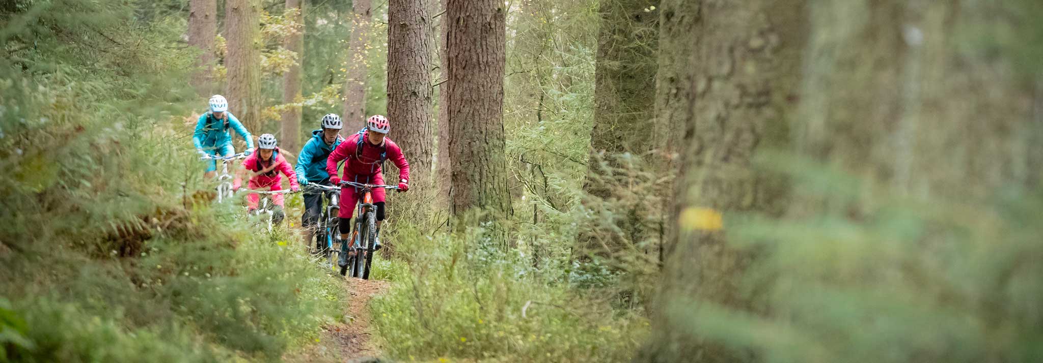 For riders heading down a woodland track on mountain bikes. Credit Russell Burton/NYMNPA