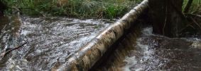 Natural flood management - Slowing the Flow