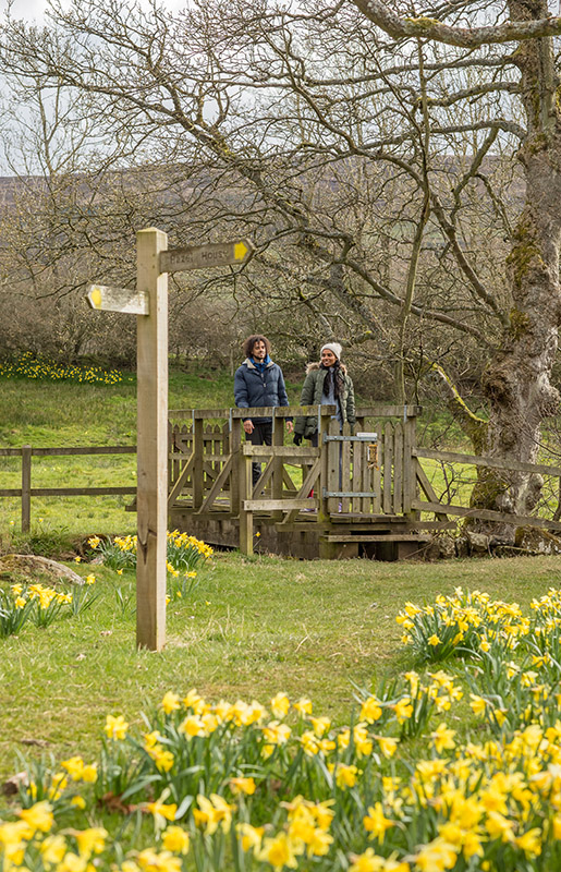 Farndale in daffodil season Credit Dependable Productions Farndale in daffodil season Credit Dependable Productions