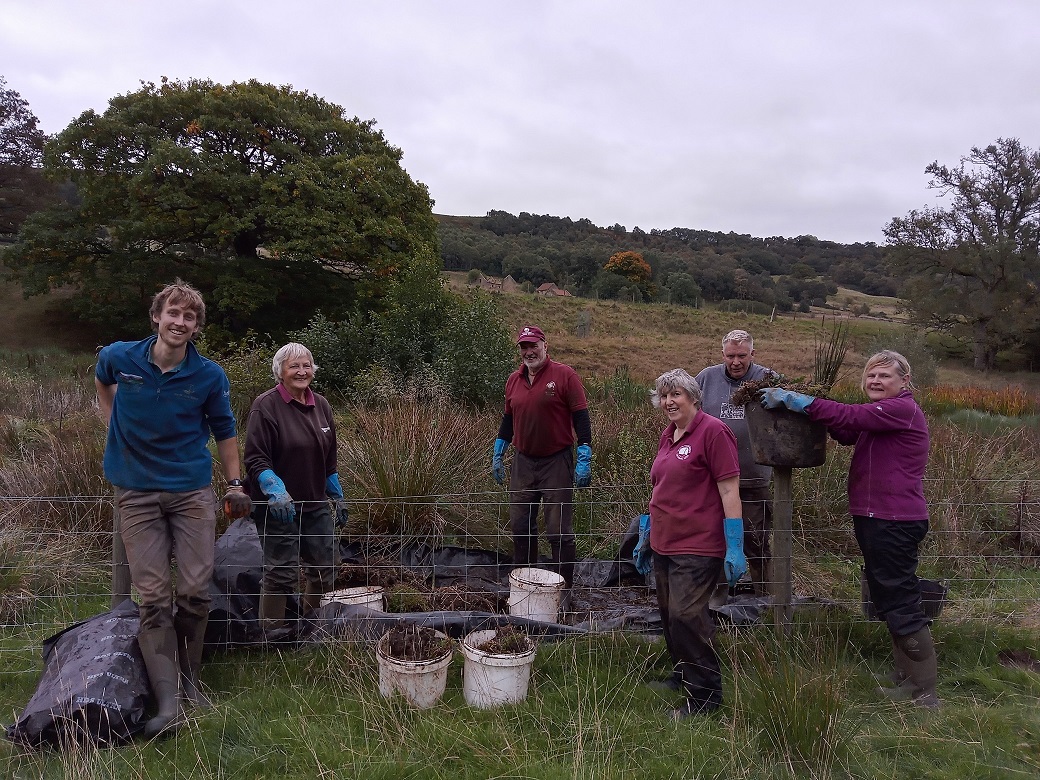 Ryevitalise team and volunteers have been busy helping to move invasive Crassula, also known as New Zealand Pigmyweed