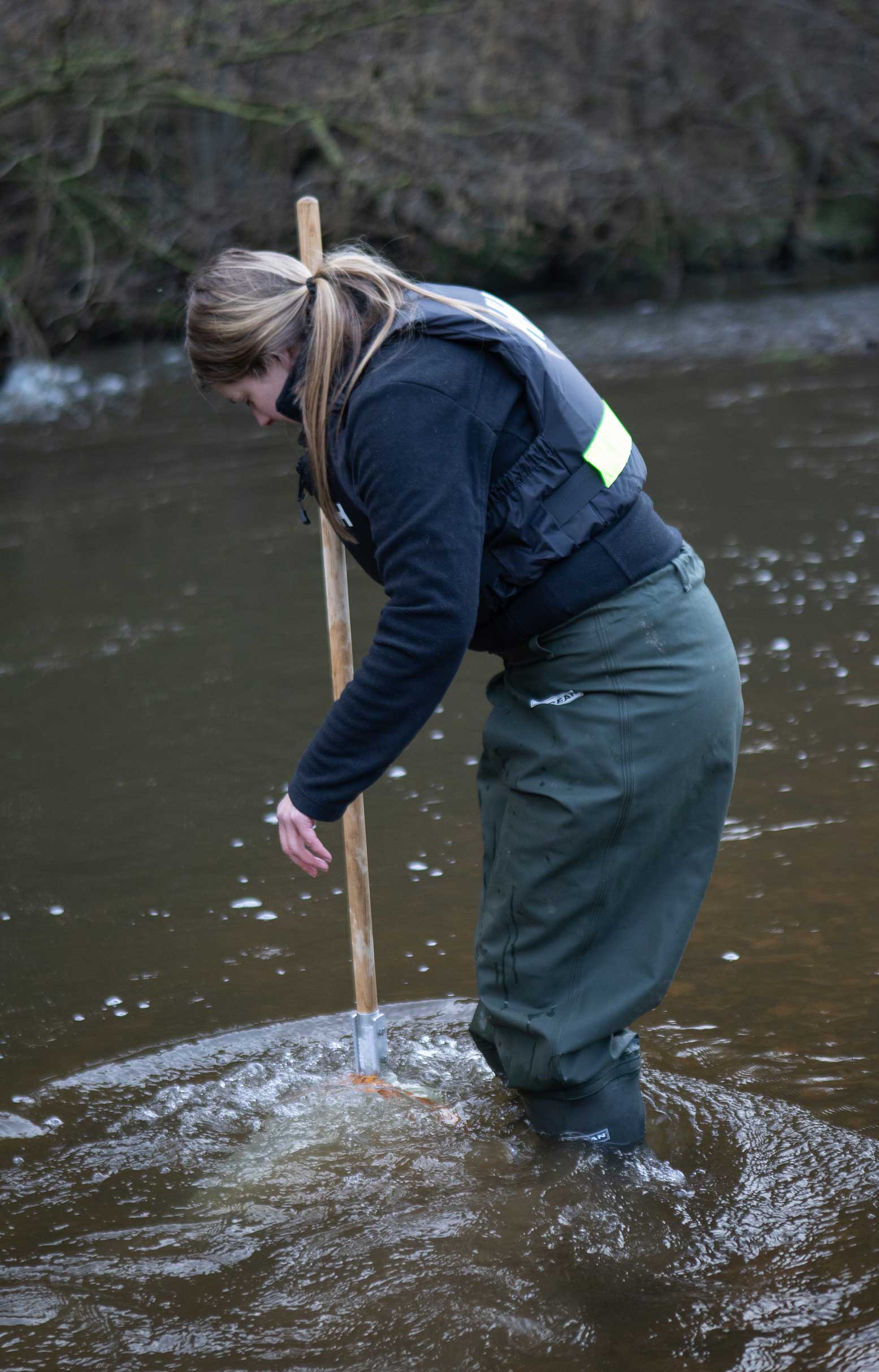 A woman standing in a river carrying out a riverfly survey. Credit Charlie Fox.