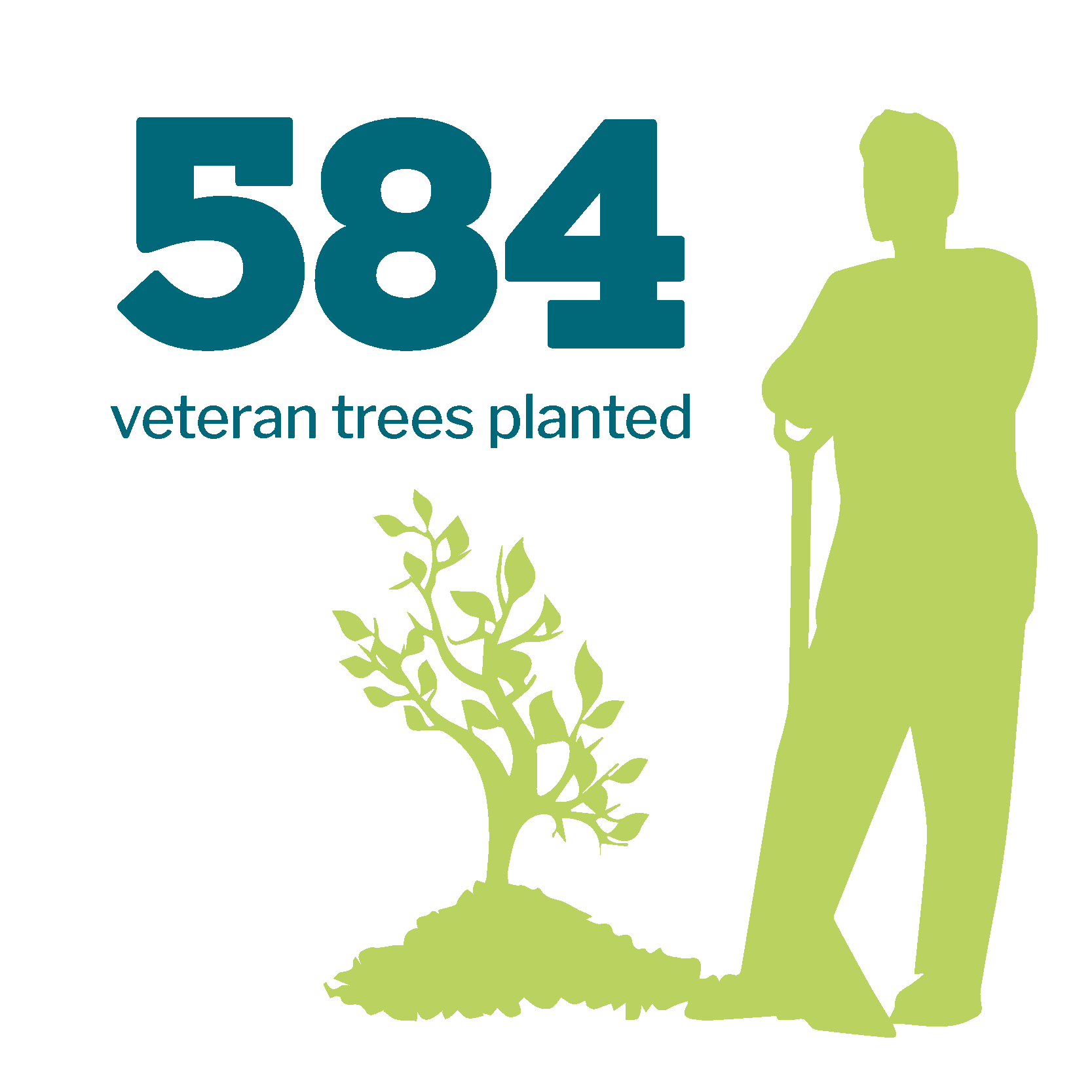 584 veteran trees planted