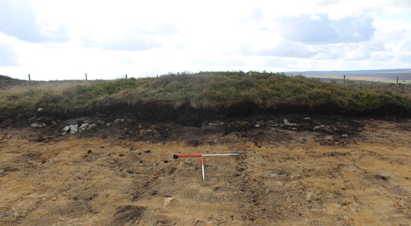 A before image showing firebreak cutting through historic barrow