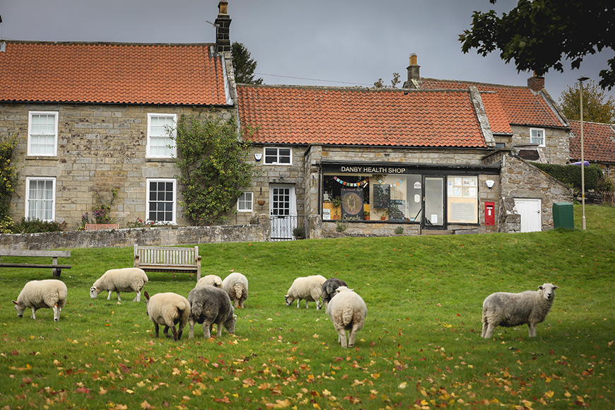 Shop in the distance with sheep on the green in the foreground by Ceri Oakes