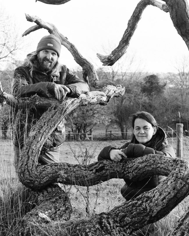 Two people standing among a fallen tree. 
