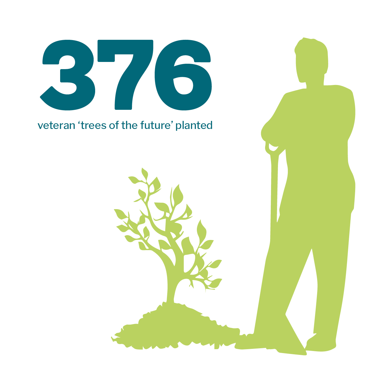 Tree planting infographic that reads 376 veteran trees of the future planted