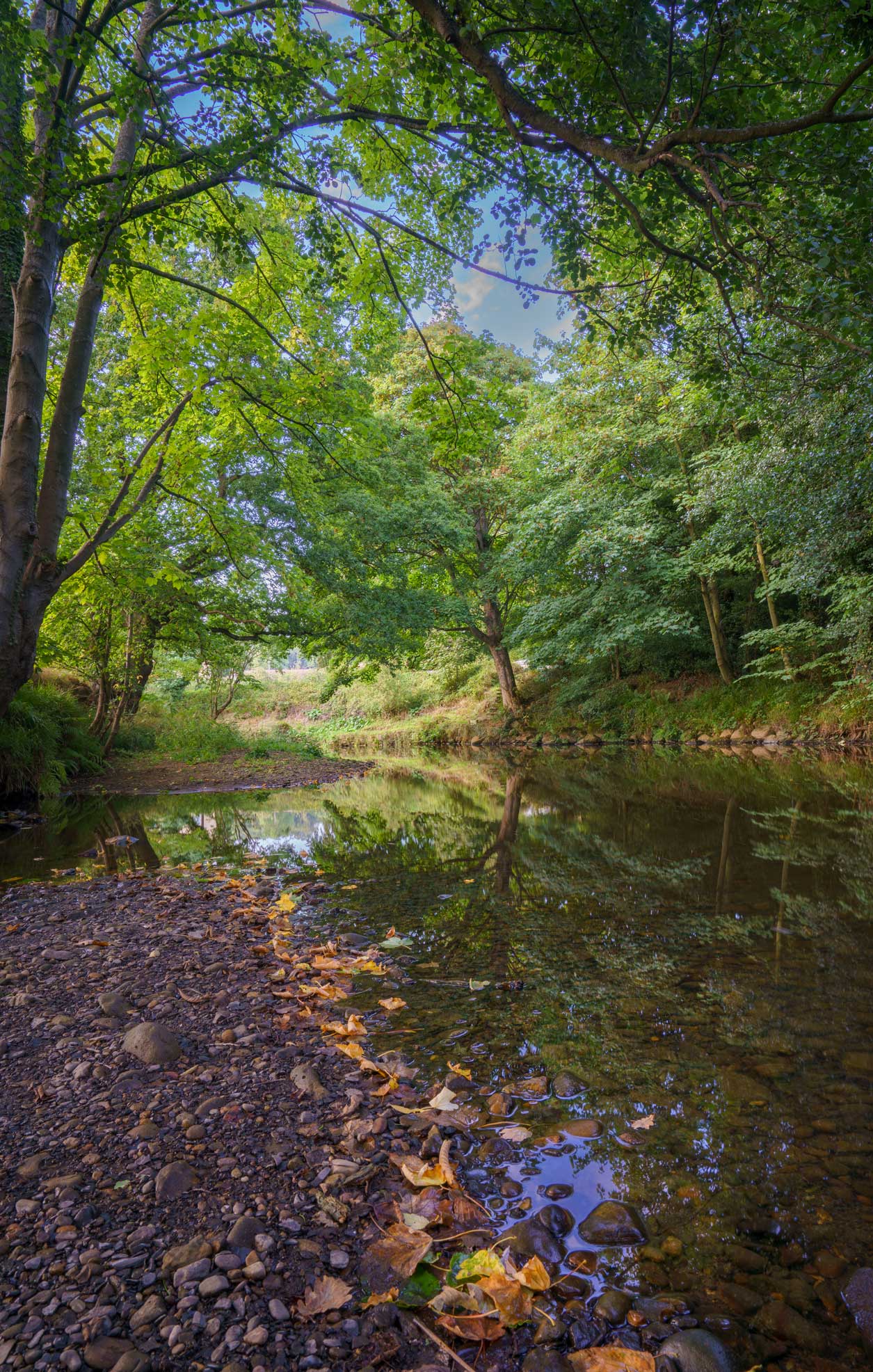 Grosmont Ford on the River Esk. Photo of a river running through woodland. Credit Oliver Sherratt