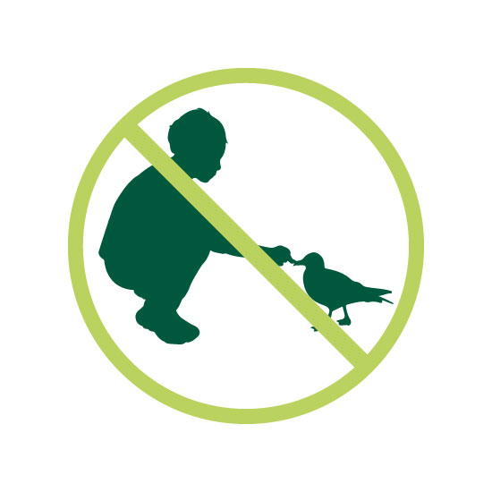 Please do not feed gulls icon. Icon shows a boy feeding a gull with a cross over it.