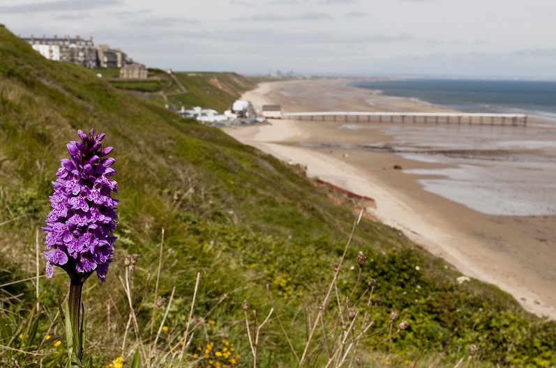 Hunt Cliff with Saltburn in the background 