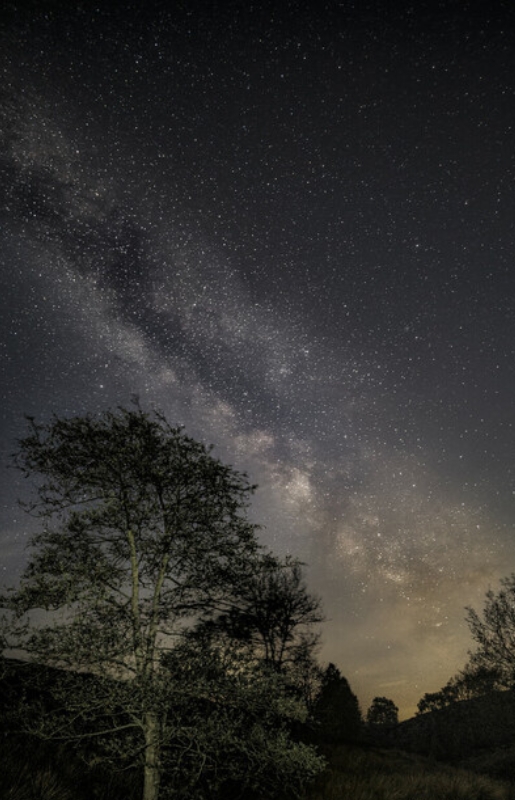 Milky Way credit Steve Bell