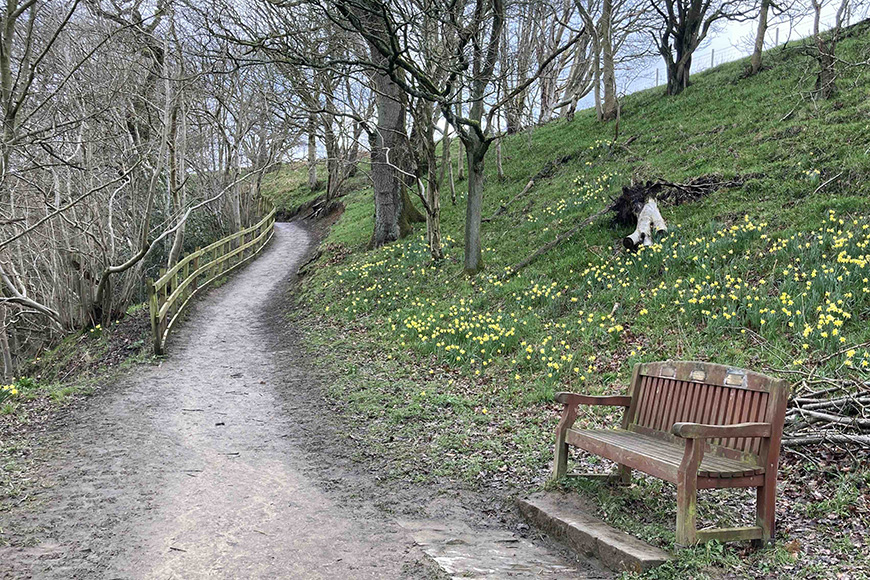 Farndale Miles without Stiles walk with slope and bench