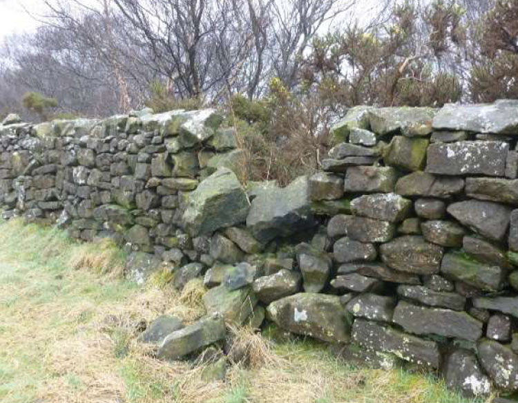 Rundown dry stone wall.