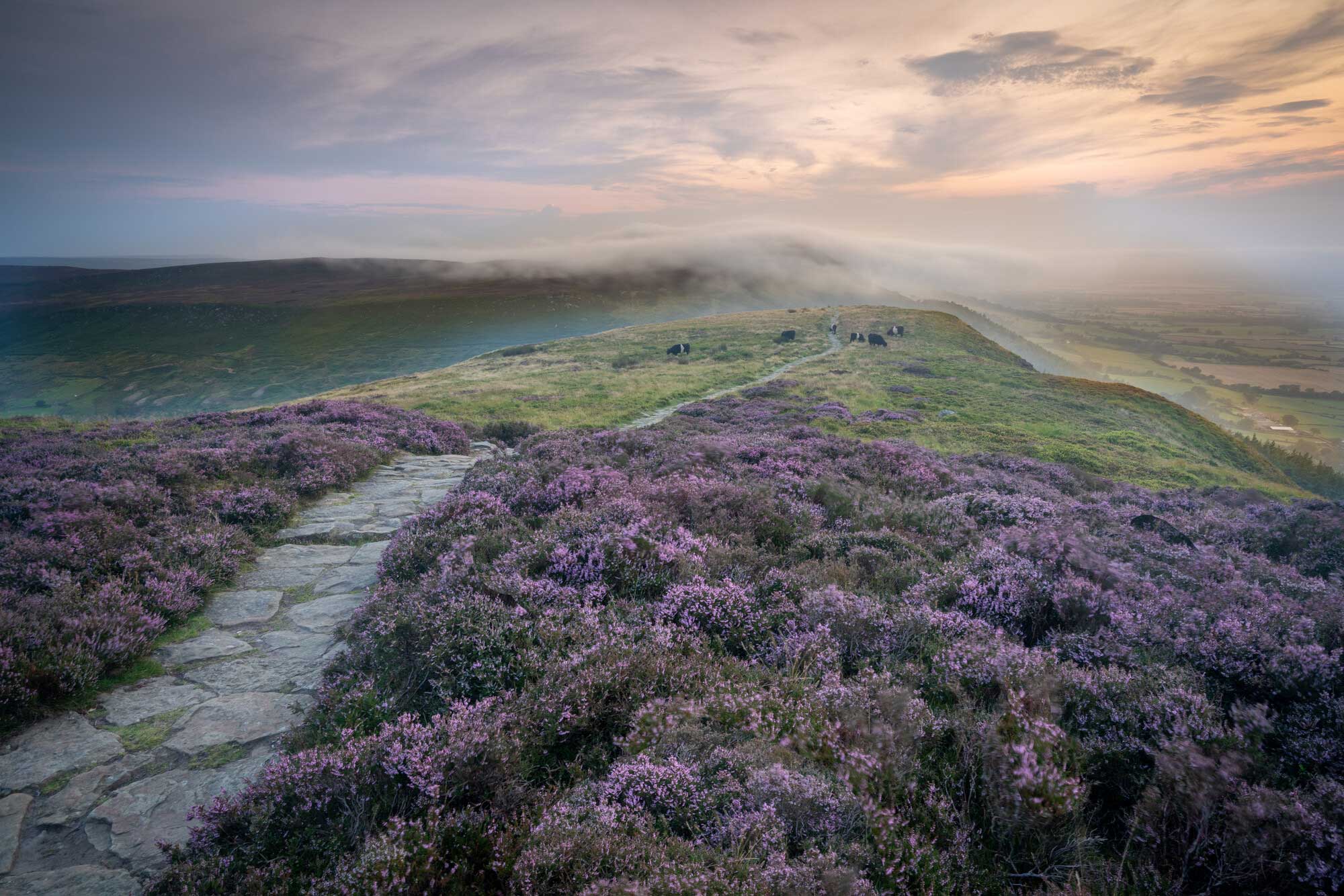 Misty moorland landscape. Credit Oliver Sherratt.