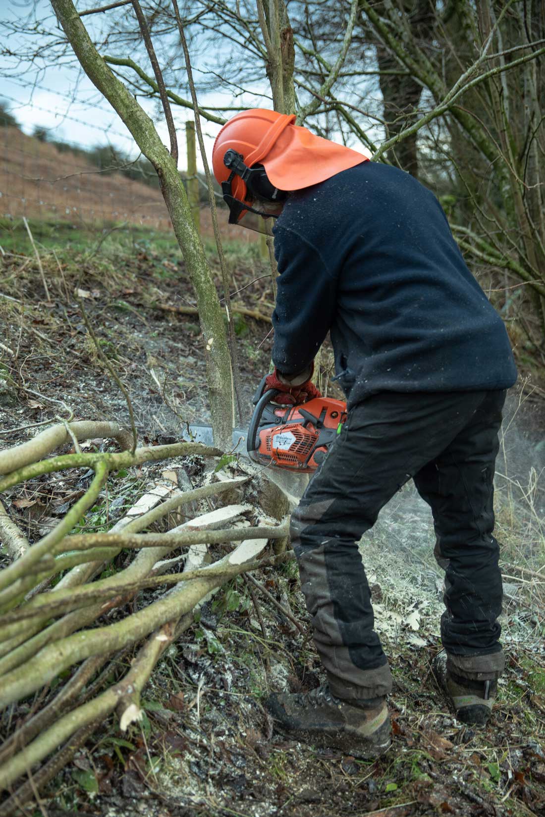 Andrew Kirkwood hedgelaying in Levisham. Credit Charlie Fox. Andrew Kirkwood hedgelaying in Levisham. Credit Charlie Fox.