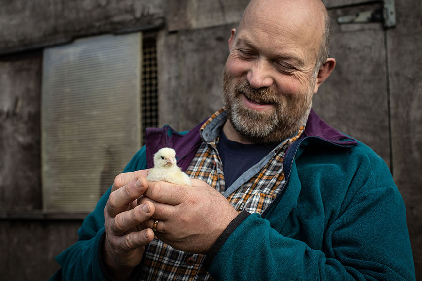 Farmer holding a chick in his hands by Polly Baldwin